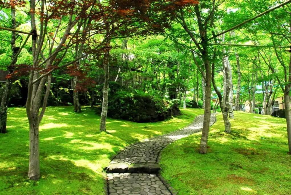Forest Casa vacanze *